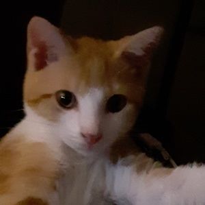 Meet your Posher, Cindy